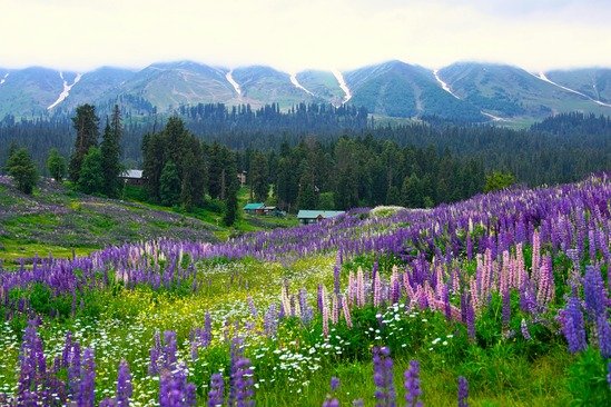 Kashmiri Mountains